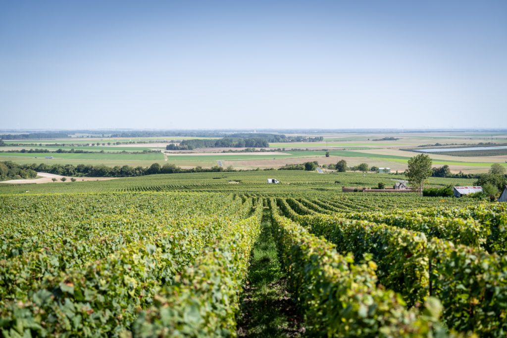 Vue de la salle de dégustation Champagne Alain Depoivre - Vindey - Marne